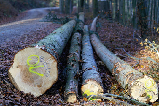 Markierspray PRO, orange fluoreszierend, für Baustellen, 500 ml, VE = 6 Dosen, inkl. VOC