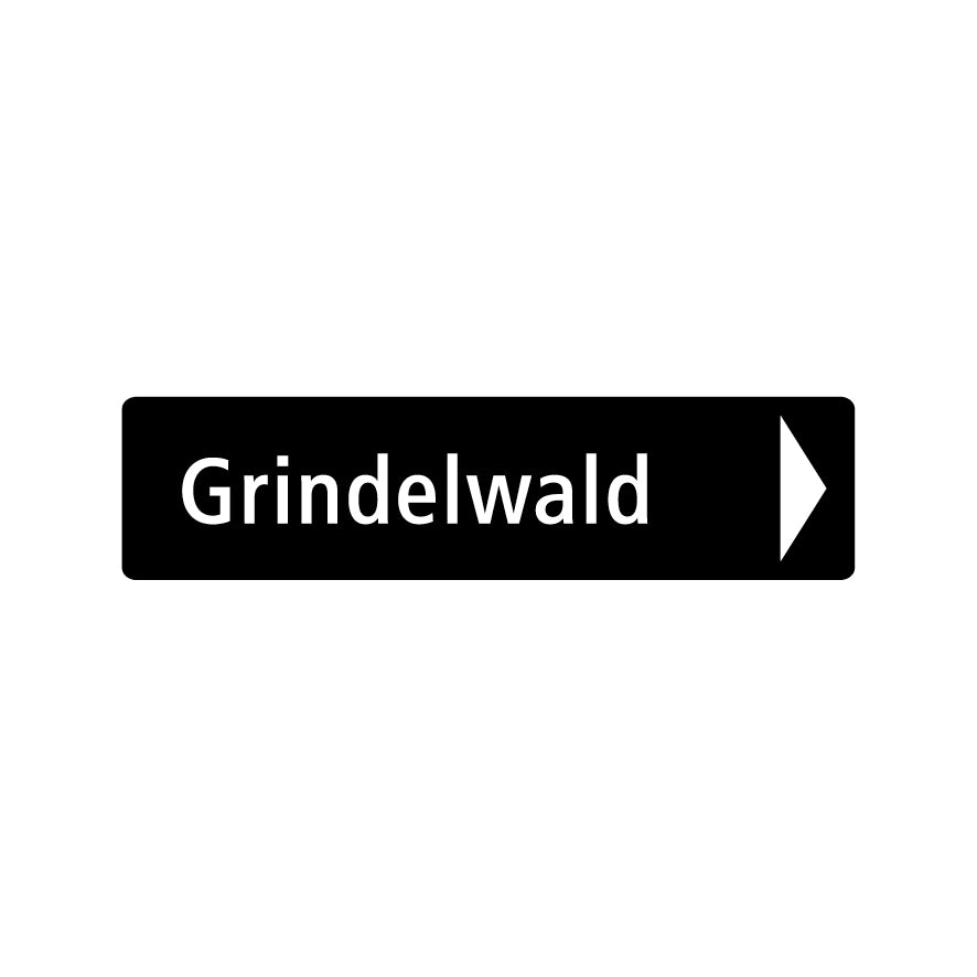 Pistenmarkierung, 1.0120, mit Text nach Wunsch oder Ihrem Logo, schwarz, 100/25 cm, Alu Composite 3 mm