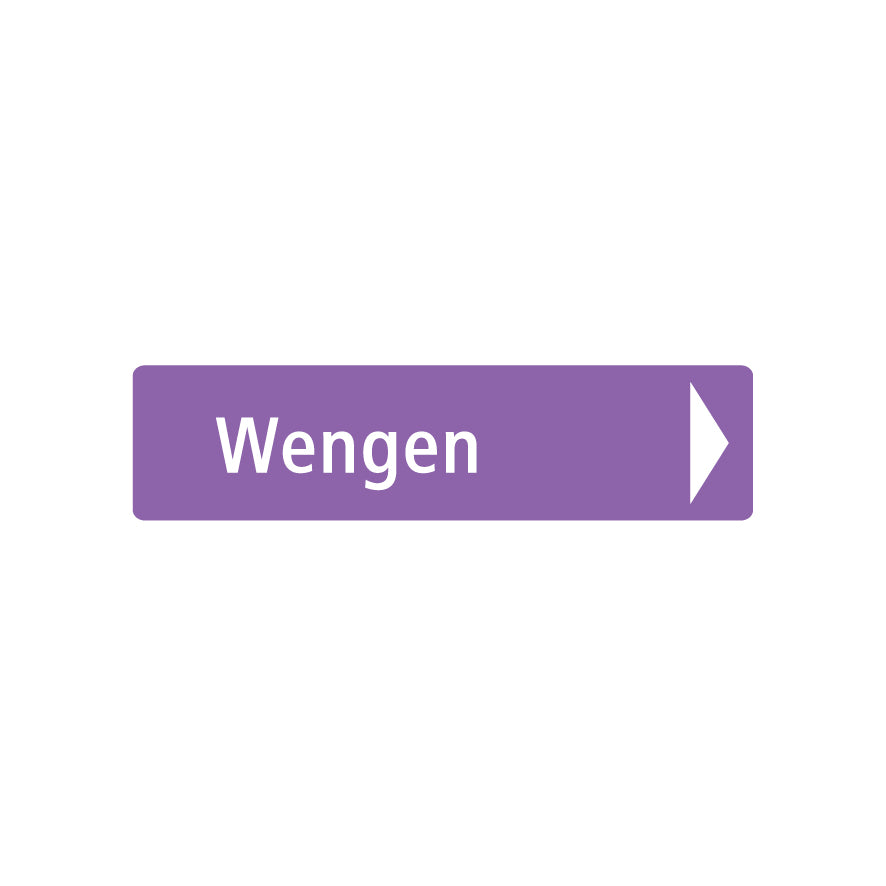 Pistenmarkierung Schlitteln, 1.0140, mit Pfeil ohne Text, violett 100/25 cm, Alu Composite 3 mm
