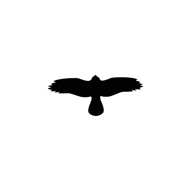 Glasscheibensymbol Vogel, Bussard 10.0001, 300 x 130 mm, schwarz, mit Application-Tape